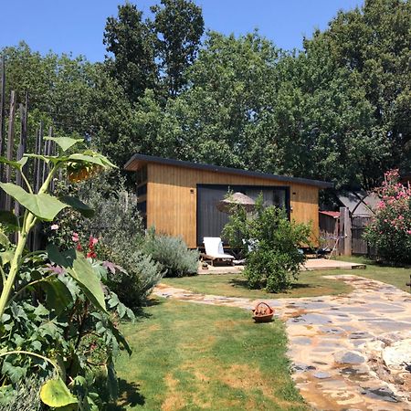 Tiny House Kayakoey Nar Fethiye Exterior foto